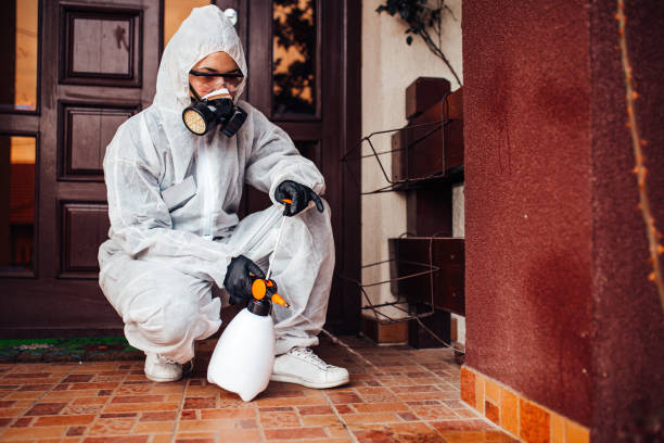Reliable Cockroach Control contractor in Warsaw, VA by Nex Pest Control